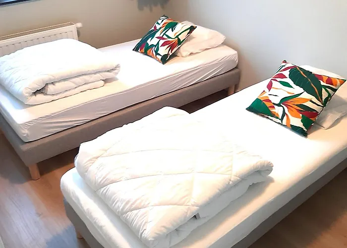 Bootsman Prachtig Zicht, Groot Zonnig Terras, Garage, Fietsenberging Fietsstad - Ensorstad